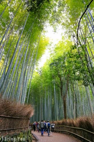 嵐山最佳月份 嵐山最佳月份