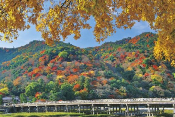 嵐山適合幾月去 嵐山適合幾月去