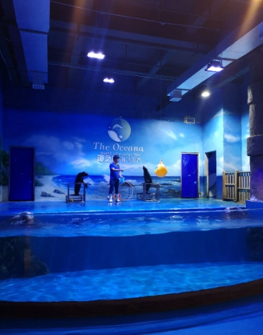 海世界遊玩指南 海世界遊玩指南