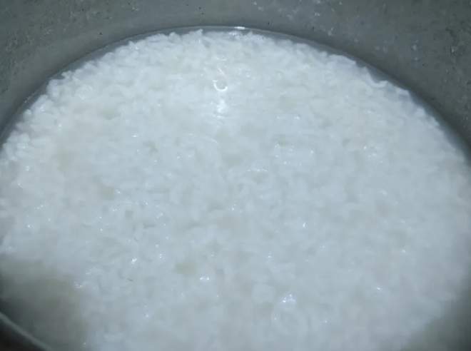 大同電子鍋煮粥比例