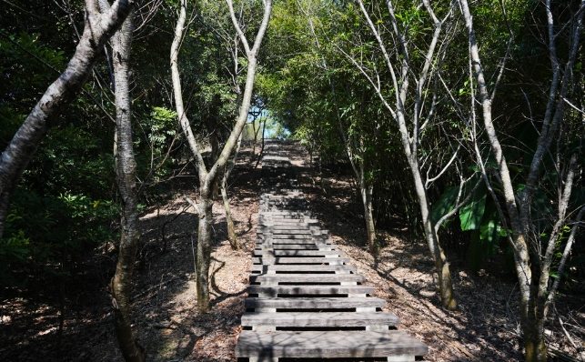 新北步道旅遊 新北步道旅遊