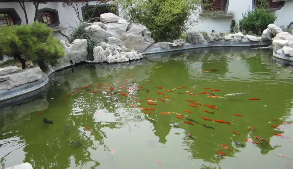 中壢隱藏景點
