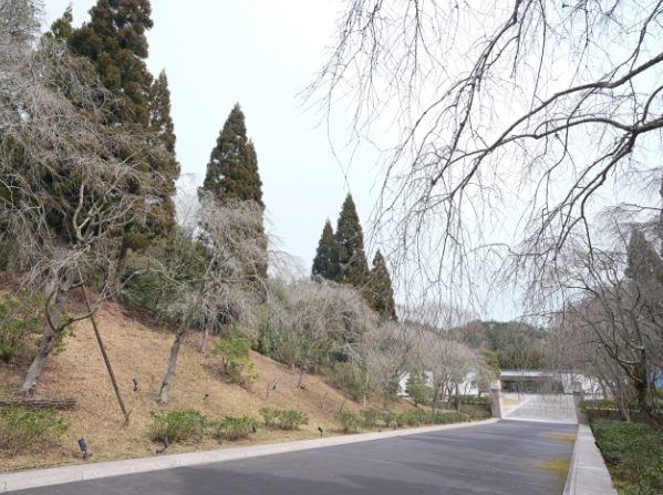 美秀美術館交通方式 美秀美術館交通方式