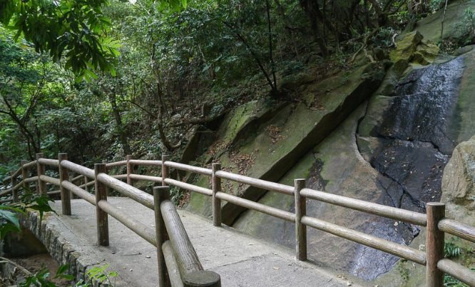 金面山 登山 金面山 登山