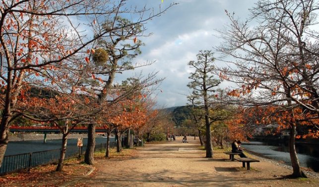 宇治公園 景點