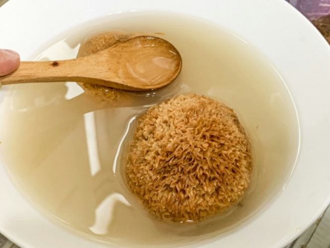 猴頭菇泡水功效 猴頭菇泡水功效