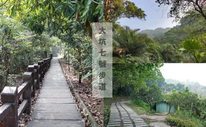 大坑步道挑戰 大坑步道挑戰