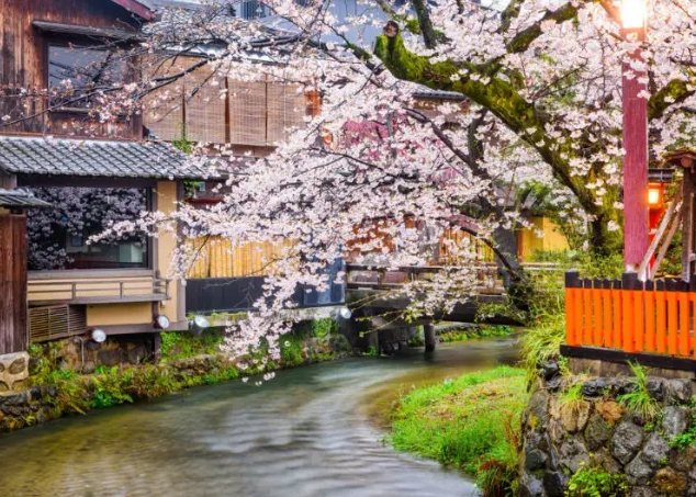 京都祇園旅遊 京都祇園旅遊