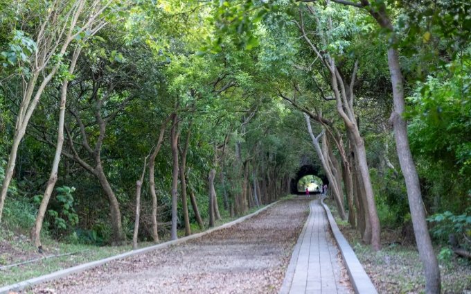 竹南登山步道 竹南登山步道