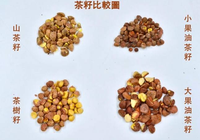 苦茶健康益處 苦茶健康益處