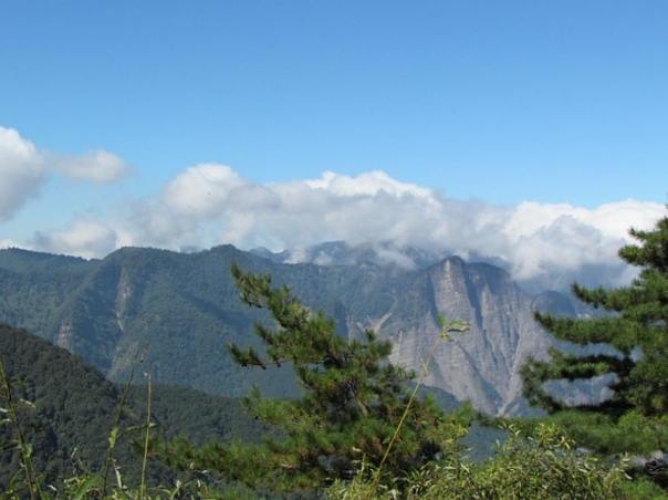 阿里山行程規劃