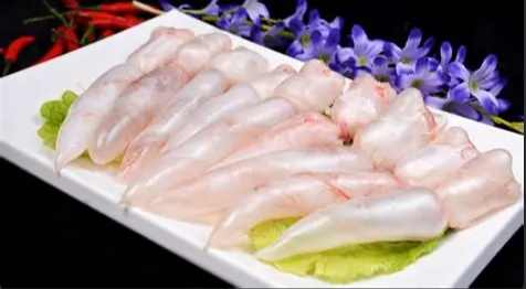 魚鰾健康益處 魚鰾健康益處