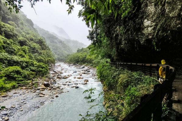 花蓮登山步道 花蓮登山步道