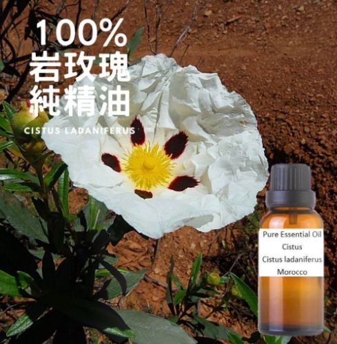 岩玫瑰精油替代品 岩玫瑰精油替代品