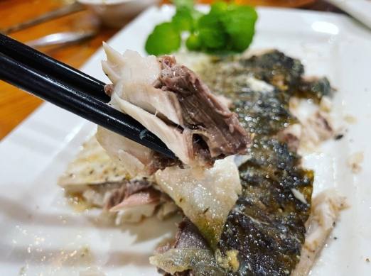 烏魚捕撈 烏魚捕撈