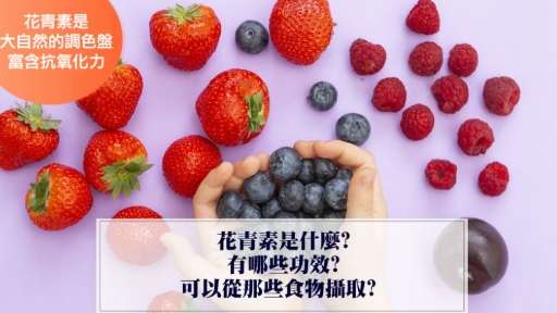 花青素水果 花青素水果