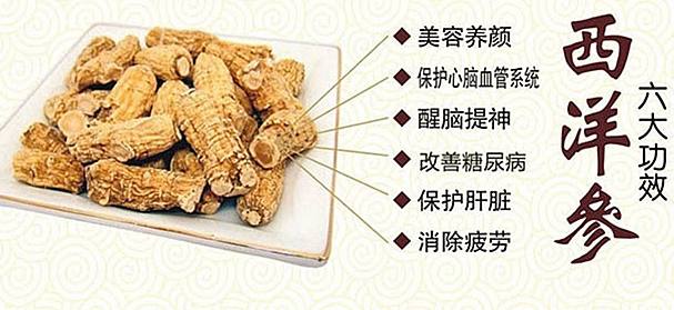 西洋蔘功效 西洋蔘功效