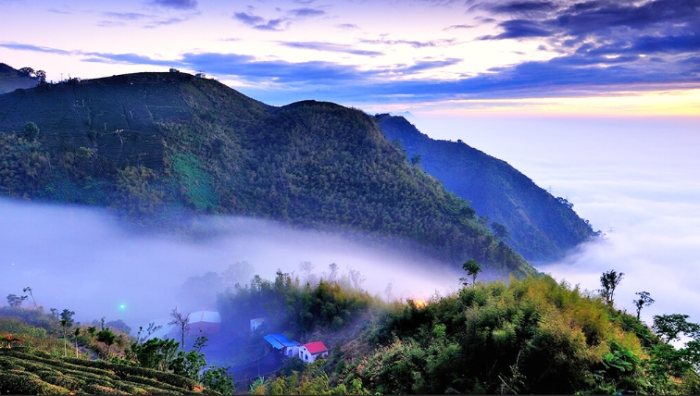 阿里山旅遊 阿里山旅遊