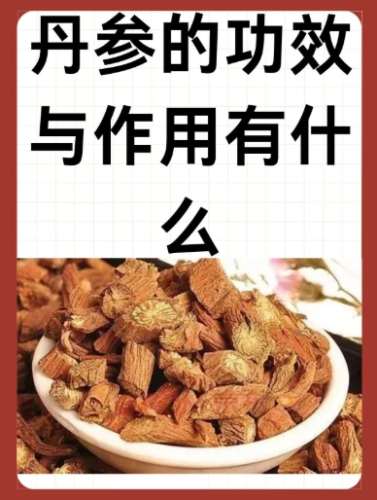 丹參作用 丹參作用
