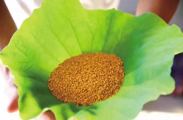 中醫花粉保健