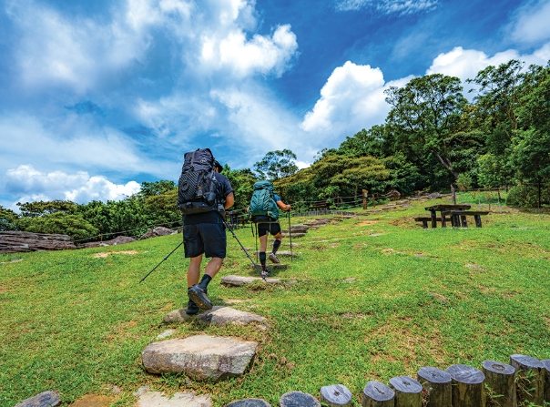 伯公步道健行 伯公步道健行