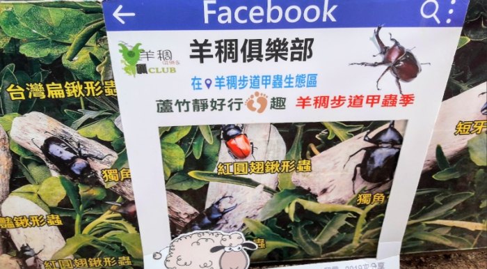 自然步道旅遊 自然步道旅遊