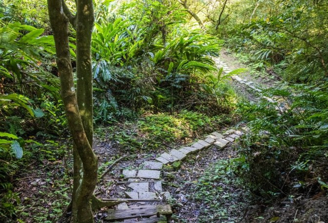 烘爐地登山步道 烘爐地登山步道