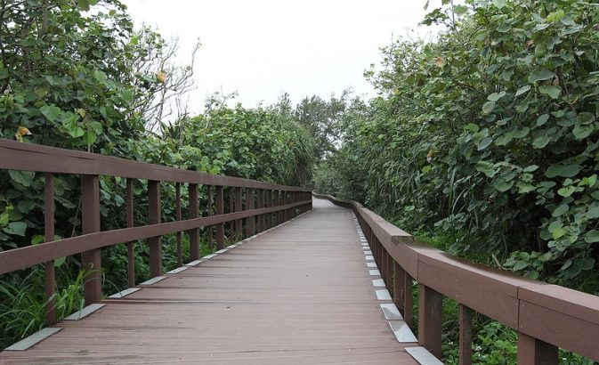 竹南登山步道 竹南登山步道