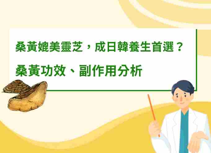 台灣黃桑 台灣黃桑
