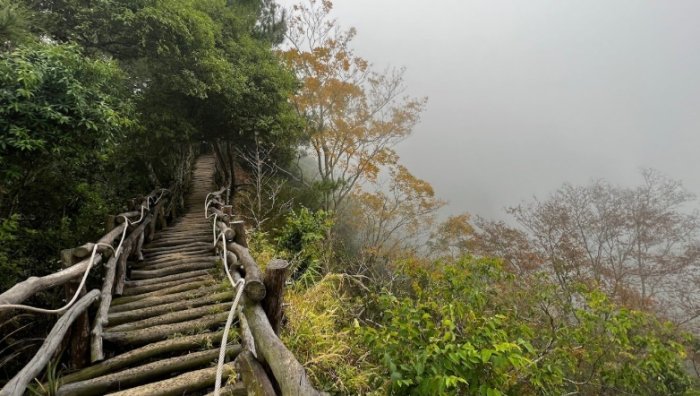 大坑步道挑戰 大坑步道挑戰