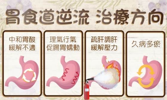 猴頭菇養胃