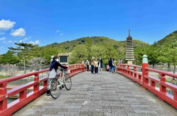 宇治公園 景點