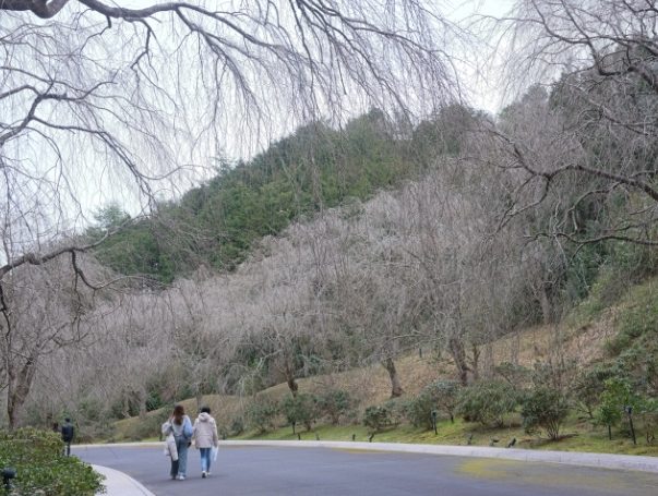 美秀美術館大眾運輸 美秀美術館大眾運輸