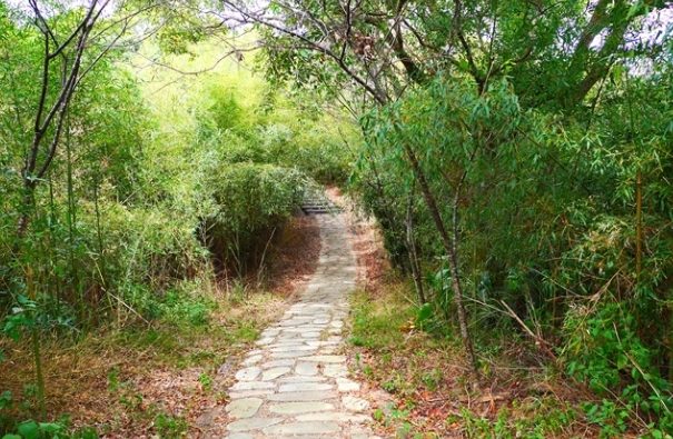鄭漢步道口山步道路線 鄭漢步道口山步道路線