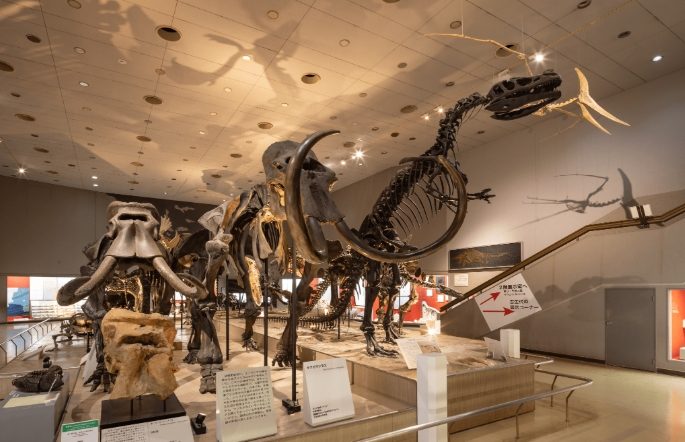 大板博物館 展覽 大板博物館 展覽