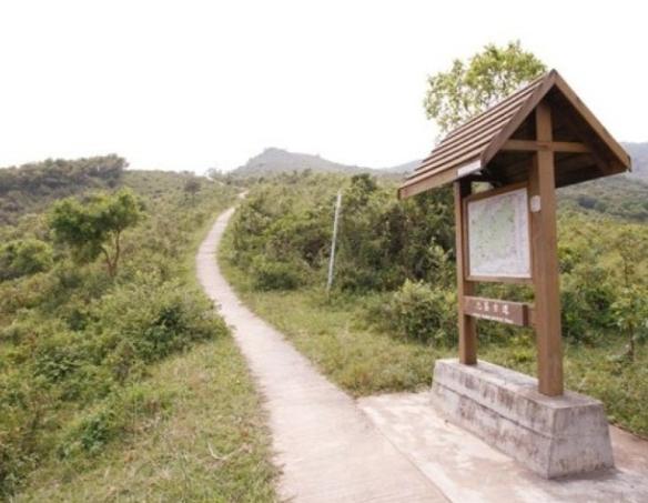 伯公步道健行 伯公步道健行