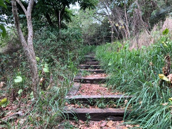彰化健行步道 彰化健行步道