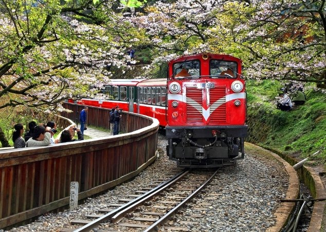 阿里山旅遊 阿里山旅遊