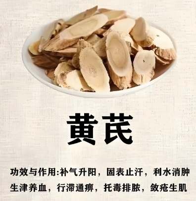 黃芪怎麼配 黃芪怎麼配