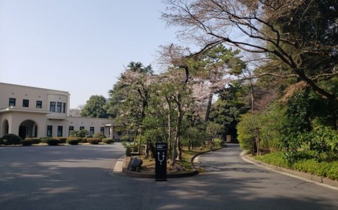 東京櫻花名所 東京櫻花名所