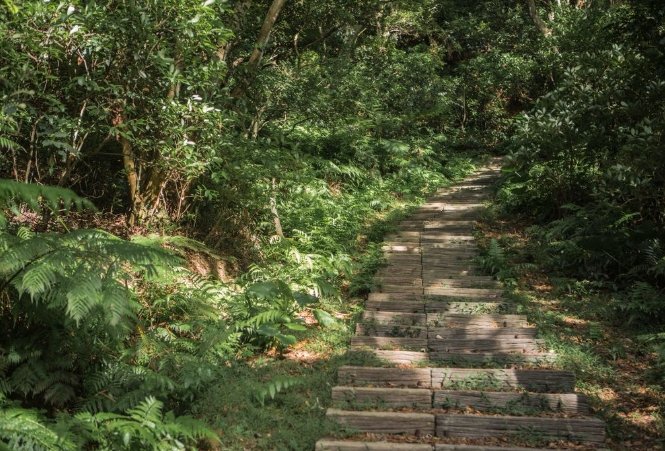 羊稠步道健行 羊稠步道健行
