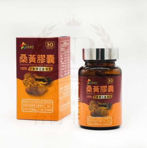 桑黃粉怎麼吃 桑黃粉怎麼吃