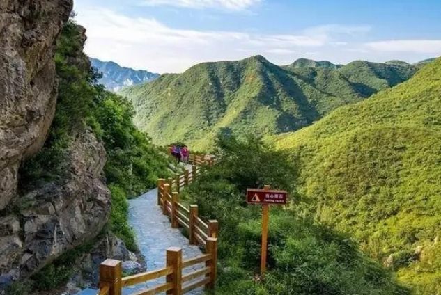 伯公步道健行 伯公步道健行