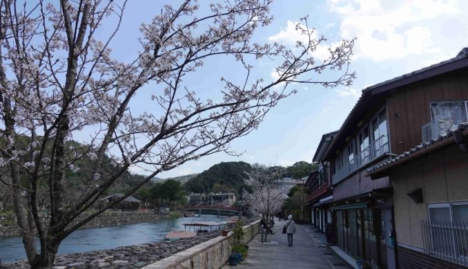 宇治公園 旅遊攻略