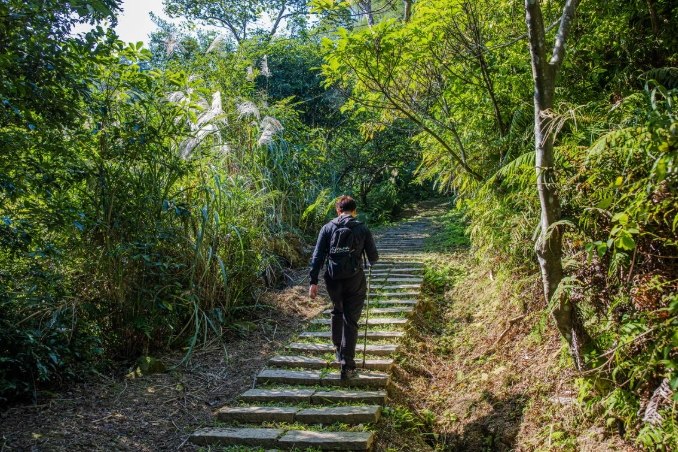 烘爐地登山步道 烘爐地登山步道