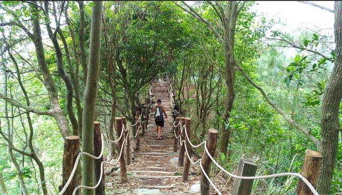 台中登山步道維護 台中登山步道維護