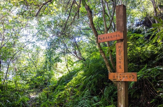 烘爐地登山步道 烘爐地登山步道