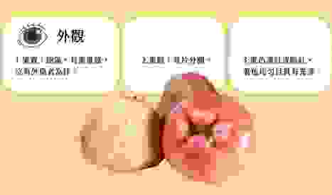 莲雾种植技巧 莲雾种植技巧