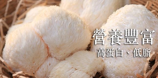 新鮮猴頭菇選購 新鮮猴頭菇選購