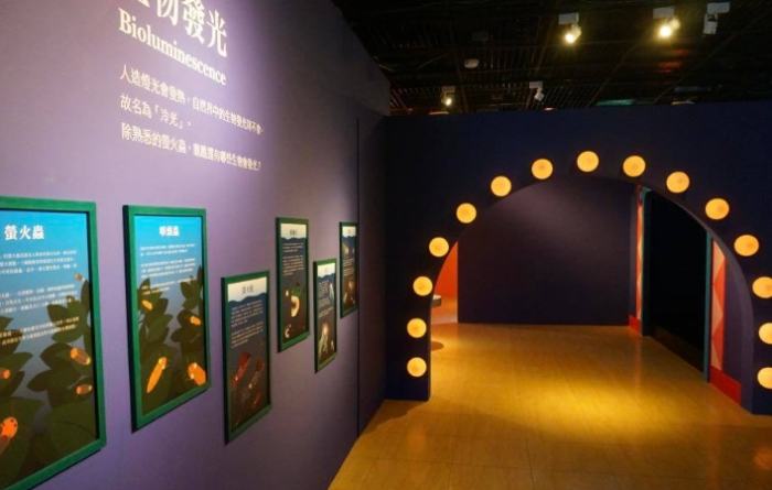 兒童美術館怎麼去 兒童美術館怎麼去